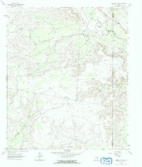 Download a high-resolution, GPS-compatible USGS topo map for Garden City NE, TX (1965 edition)