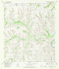 Download a high-resolution, GPS-compatible USGS topo map for Geddis Canyon East, TX (1980 edition)