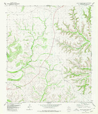 preview thumbnail of historical topo map of Terrell County, TX in 1980