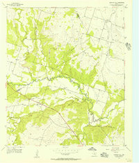 Download a high-resolution, GPS-compatible USGS topo map for Gentrys Mill, TX (1957 edition)