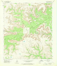 Download a high-resolution, GPS-compatible USGS topo map for Glass Ranch, TX (1964 edition)
