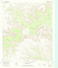 Download a high-resolution, GPS-compatible USGS topo map for Glass Ranch, TX (1978 edition)
