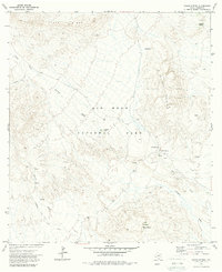 Download a high-resolution, GPS-compatible USGS topo map for Glenn Spring, TX (1980 edition)