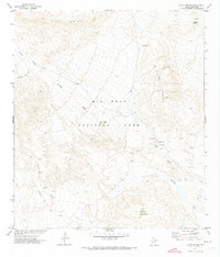 Download a high-resolution, GPS-compatible USGS topo map for Glenn Spring, TX (1973 edition)