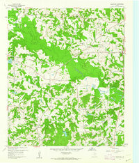 Download a high-resolution, GPS-compatible USGS topo map for Glenwood, TX (1962 edition)