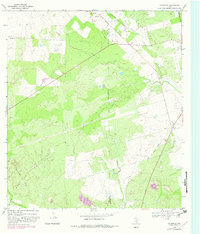 preview thumbnail of historical topo map of Frio County, TX in 1968