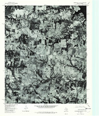 preview thumbnail of historical topo map of Grayson County, TX in 1976