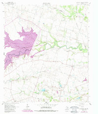 Download a high-resolution, GPS-compatible USGS topo map for Granger Lake, TX (1989 edition)