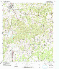 Download a high-resolution, GPS-compatible USGS topo map for Grapeland, TX (1993 edition)