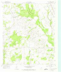 Download a high-resolution, GPS-compatible USGS topo map for Grays Prairie, TX (1975 edition)