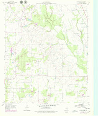 Download a high-resolution, GPS-compatible USGS topo map for Grays Prairie, TX (1979 edition)