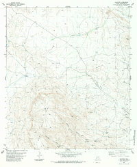 Download a high-resolution, GPS-compatible USGS topo map for Graytop, TX (1984 edition)