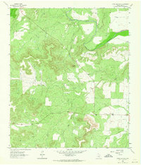 Download a high-resolution, GPS-compatible USGS topo map for Green Mountain, TX (1964 edition)