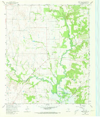 Download a high-resolution, GPS-compatible USGS topo map for Green Valley, TX (1973 edition)