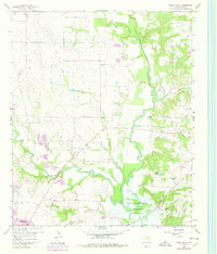 Download a high-resolution, GPS-compatible USGS topo map for Green Valley, TX (1978 edition)