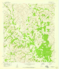 Download a high-resolution, GPS-compatible USGS topo map for Greenvine, TX (1959 edition)