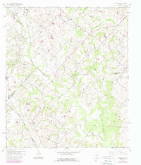 Download a high-resolution, GPS-compatible USGS topo map for Greenvine, TX (1989 edition)