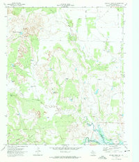 preview thumbnail of historical topo map of Borden County, TX in 1970