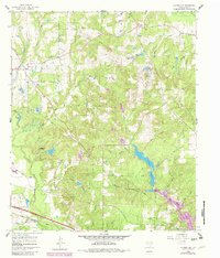 Download a high-resolution, GPS-compatible USGS topo map for Hainesville, TX (1982 edition)