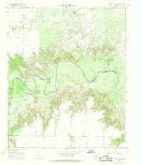 Download a high-resolution, GPS-compatible USGS topo map for Halsell Ranch, TX (1969 edition)