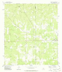 preview thumbnail of historical topo map of Gillespie County, TX in 1974