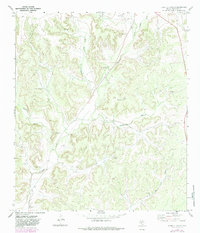 Download a high-resolution, GPS-compatible USGS topo map for Harrell Canyon, TX (1982 edition)