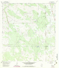 preview thumbnail of historical topo map of Brooks County, TX in 1963