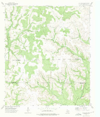 Download a high-resolution, GPS-compatible USGS topo map for Hay Hollow, TX (1975 edition)