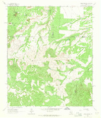 Download a high-resolution, GPS-compatible USGS topo map for Hayrick Mountain, TX (1964 edition)