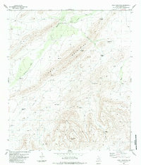 Download a high-resolution, GPS-compatible USGS topo map for Heart Mountain, TX (1984 edition)