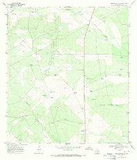 Download a high-resolution, GPS-compatible USGS topo map for Hebbronville NW, TX (1971 edition)