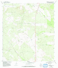 Download a high-resolution, GPS-compatible USGS topo map for Hebbronville NW, TX (1991 edition)