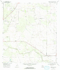 Download a high-resolution, GPS-compatible USGS topo map for Hebbronville SE, TX (1971 edition)