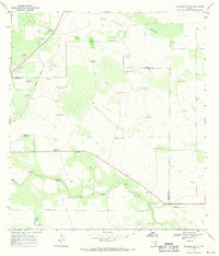 preview thumbnail of historical topo map of Jim Hogg County, TX in 1967