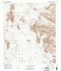 Download a high-resolution, GPS-compatible USGS topo map for Helms West Well, TX (1995 edition)