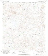 Download a high-resolution, GPS-compatible USGS topo map for Hen Egg Mountain, TX (1974 edition)