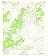 Download a high-resolution, GPS-compatible USGS topo map for Henderson Mesa, TX (1980 edition)