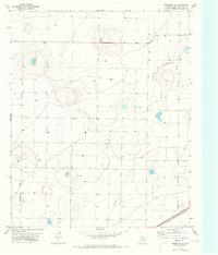 Download a high-resolution, GPS-compatible USGS topo map for Hereford NE, TX (1973 edition)
