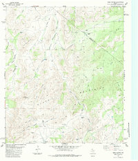 Download a high-resolution, GPS-compatible USGS topo map for Hess Canyon, TX (1984 edition)
