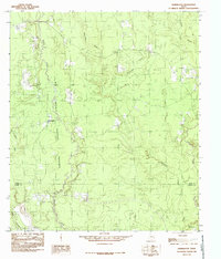 Download a high-resolution, GPS-compatible USGS topo map for Hicksbaugh, TX (1985 edition)