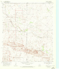 1969 Map of Gaines County, TX, 1972 Print