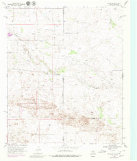 1969 Map of Gaines County, TX, 1980 Print