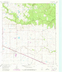 Download a high-resolution, GPS-compatible USGS topo map for Hockley, TX (1980 edition)