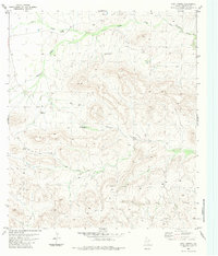Download a high-resolution, GPS-compatible USGS topo map for Hood Spring, TX (1984 edition)