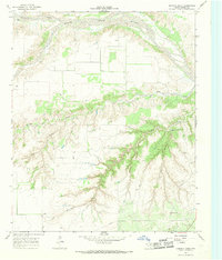 Download a high-resolution, GPS-compatible USGS topo map for Hornica Creek, TX (1969 edition)