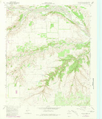 Download a high-resolution, GPS-compatible USGS topo map for Hornica Creek, TX (1981 edition)