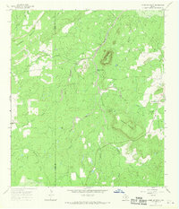 preview thumbnail of historical topo map of Brewster County, TX in 1967