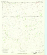 Download a high-resolution, GPS-compatible USGS topo map for Houston Ranch, TX (1991 edition)