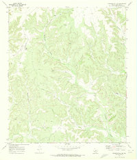 Download a high-resolution, GPS-compatible USGS topo map for Howards Well NE, TX (1973 edition)