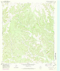 Download a high-resolution, GPS-compatible USGS topo map for Howards Well NE, TX (1982 edition)